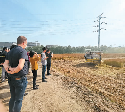 1587494035704_1.jpg 1587494035704_1.jpg