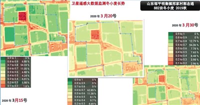 rmrbhwb2020042210p16_b.jpg rmrbhwb2020042210p16_b.jpg